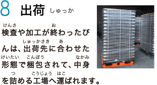 8　出荷　検査や加工が終わったびんは、出荷先に合わせた形態で梱包されて、中身を詰める工場へ運ばれます。