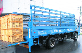 収集車両:平ボディ車 画像