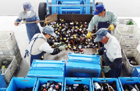 処理設備:手選別ライン 画像