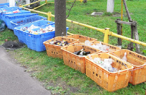 収集場所:ステーション 画像