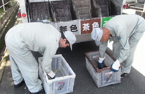 処理設備:なし 画像