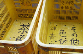 収集容器:コンテナ 画像