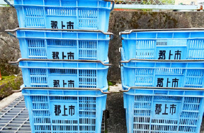 収集容器:コンテナ 画像