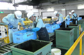 処理設備:手選別コンベア 画像