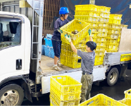 収集車両:平ボディ車 画像3