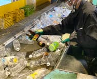 選別手段：手選別 画像5