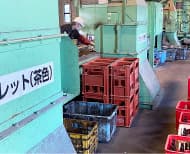 選別手段：手選別 画像7