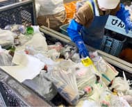 選別手段：手選別 画像