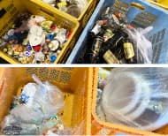 選別手段：手選別 画像3