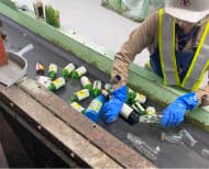 選別手段：手選別 画像5