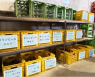 選別手段：手選別 画像7