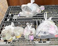 収集場所：ステーション 画像2