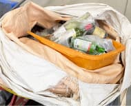 選別手段：手選別 画像2